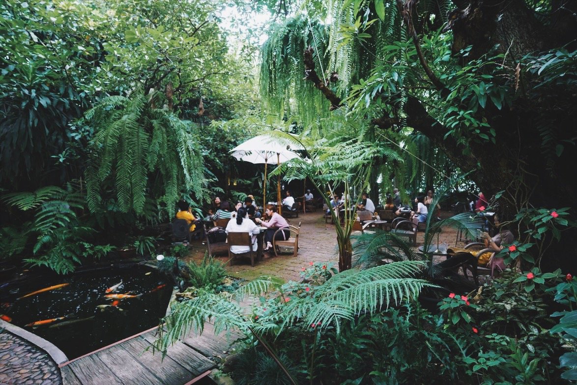 Chiang Mai Coffee
